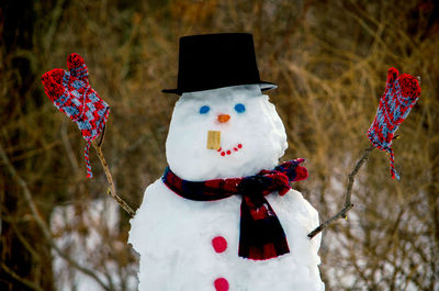 A snowman out in a wintry woods is very happy about the winter vortex