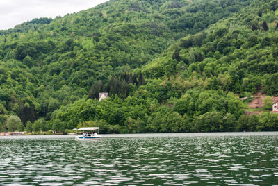 Scenic view of lake in forest