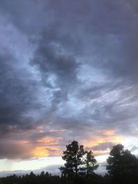 Low angle view of silhouette trees against sky