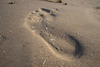 High angle view of footprints on wet sand