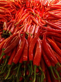 Close-up of red chili peppers for sale in market