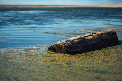 Scenic view of sea shore against sky