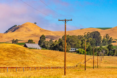 Scenic view of wine country sonoma, california 