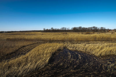 Wide angle view of one of many ohio wetland areas. 