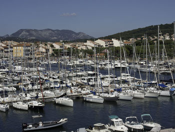 Sailboats moored in harbor