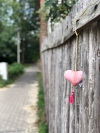 Close-up of heart shape hanging on tree trunk