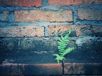 Close-up of brick wall