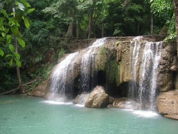 Scenic view of waterfall in forest