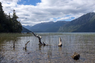 View of birds in lake against mountain range