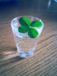 High angle view of drink on table