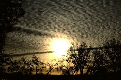 Scenic view of sunset