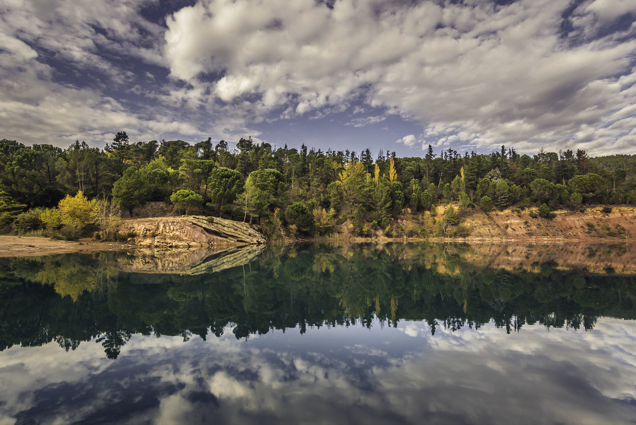 Pine forest reflection on water