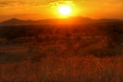 Scenic view of landscape against sky during sunset