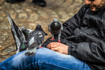 Midsection of man feeding bird