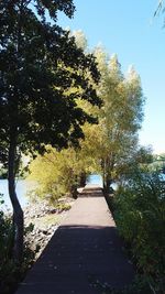 Footpath amidst trees against clear sky