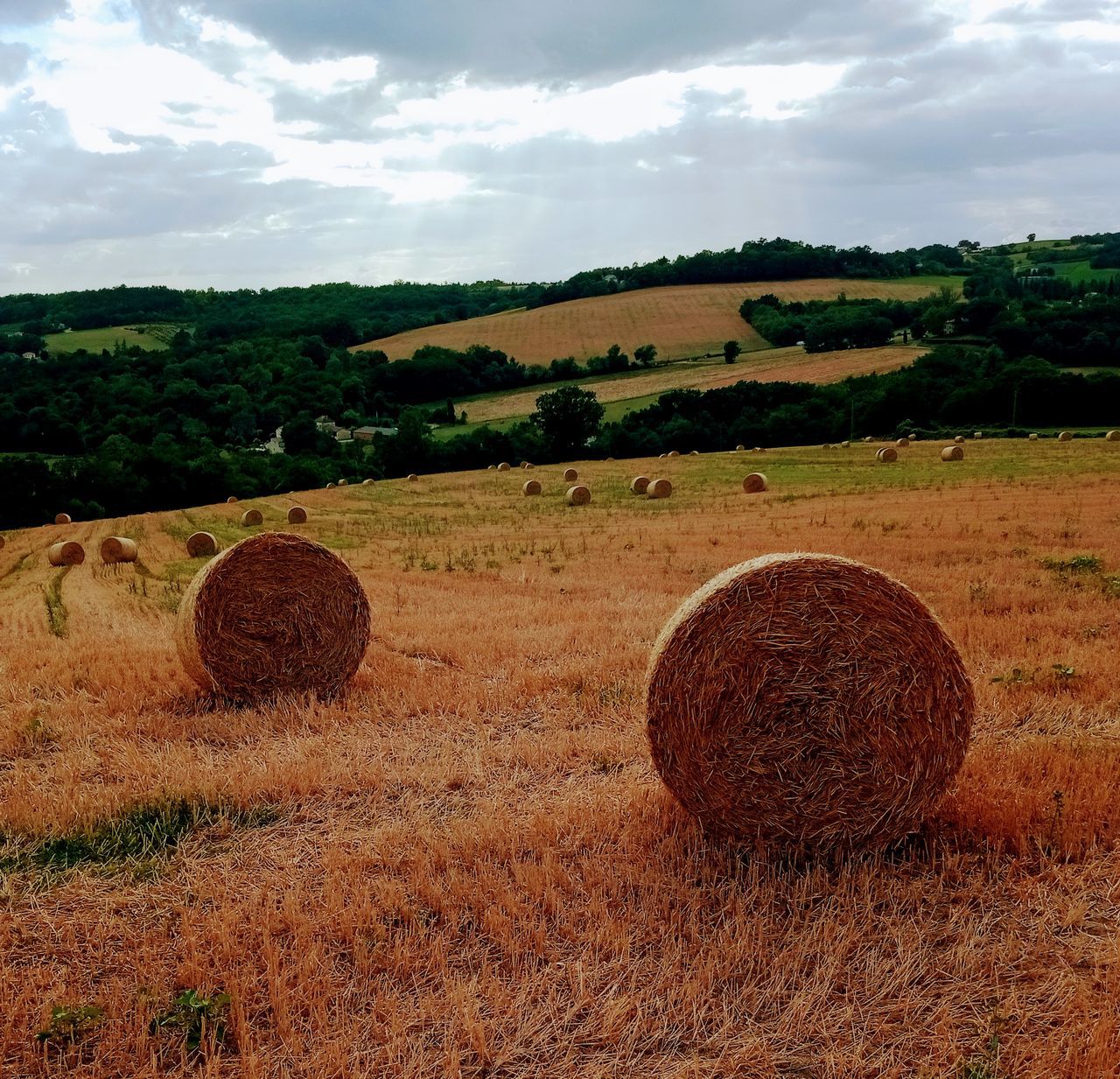 bale, hay, landscape, field, land, soil, plant, agriculture, environment, rural scene, sky, farm, nature, rural area, cloud, harvesting, rolled up, scenics - nature, prairie, straw, no people, circle, beauty in nature, tranquility, tranquil scene, tree, grass, haystack, plain, crop, grassland, geometric shape, hill, harvest, day, pasture, outdoors, shape, cereal plant