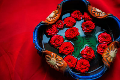 Organic red rose in a pot filled with pure water