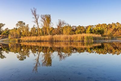 Reflection of trees in lake against sky