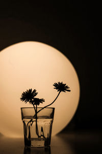 Close-up of illuminated lamp on table