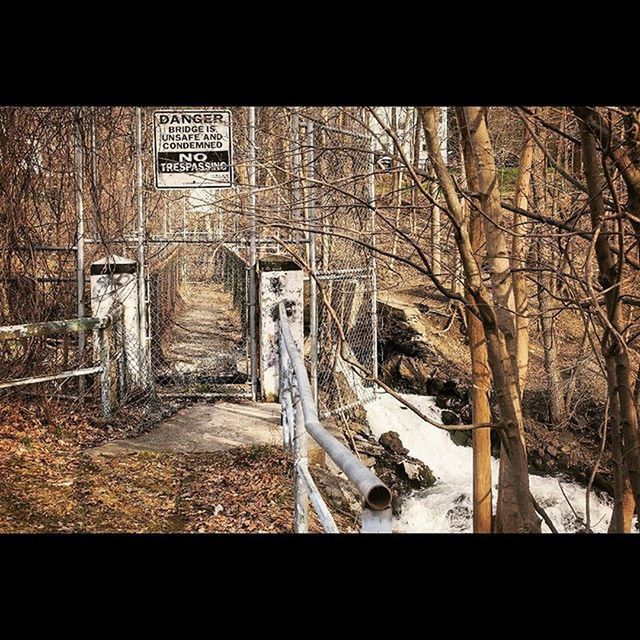 transfer print, built structure, auto post production filter, architecture, tree, building exterior, bare tree, railing, day, the way forward, bridge - man made structure, outdoors, connection, no people, wall - building feature, old, nature, fence, sky, wood - material