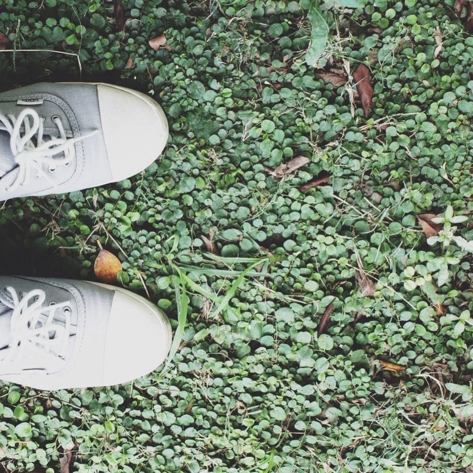 high angle view, leaf, grass, shoe, field, still life, text, day, plant, communication, ground, close-up, green color, outdoors, nature, footwear, directly above, no people, growth, low section