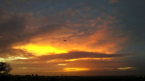 Silhouette of birds flying against dramatic sky