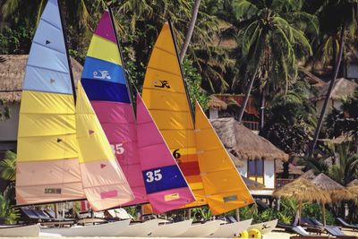 Colorful sailboats against palm trees at beach