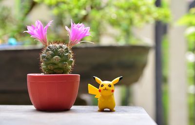 Close-up of flower pot on table