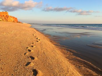 Scenic view of beach against sky