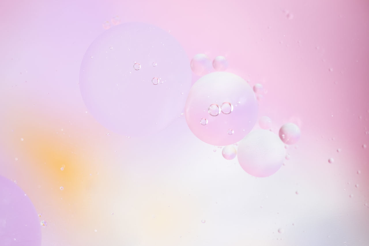 pink, bubble, no people, circle, mid-air, multi colored, balloon, water, indoors, drop, nature, studio shot, liquid bubble, fragility, colored background, petal, close-up, macro photography, abstract, backgrounds, creativity, motion, simplicity, purple, floating, floating on water