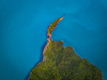 High angle view of starfish on land against sea