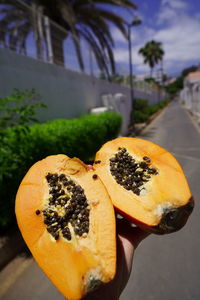 Close-up of hand holding orange