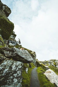 Low angle view of goat on rock formations against sky