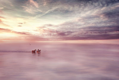 Man with horses in sea against sky during sunset