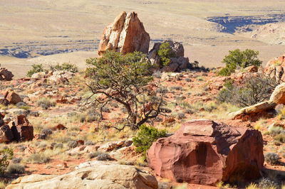 Rock formations on landscape