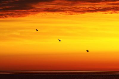 Scenic view of sea against orange sky