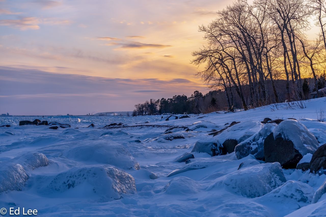 SNOW COVERED TREES AGAINST SKY DURING SUNSET