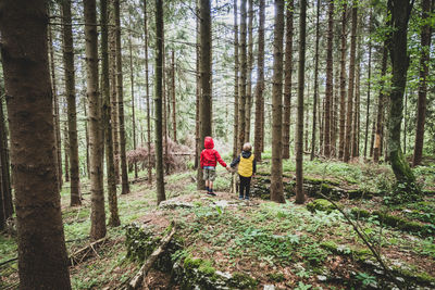 Rear view of women walking in forest