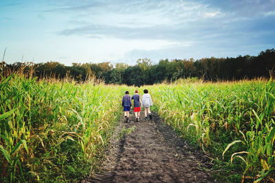 Rear view of man walking on field against sky