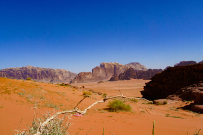 Scenic view of landscape against blue sky