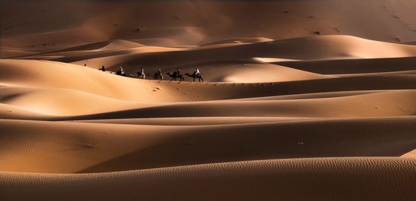 Full frame shot of sand dunes in desert