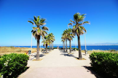 Palm trees on beach against clear blue sky