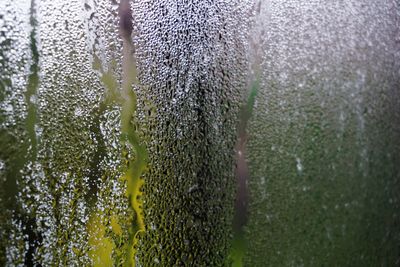 Full frame shot of wet glass window