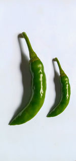 Close-up of green chili pepper against white background