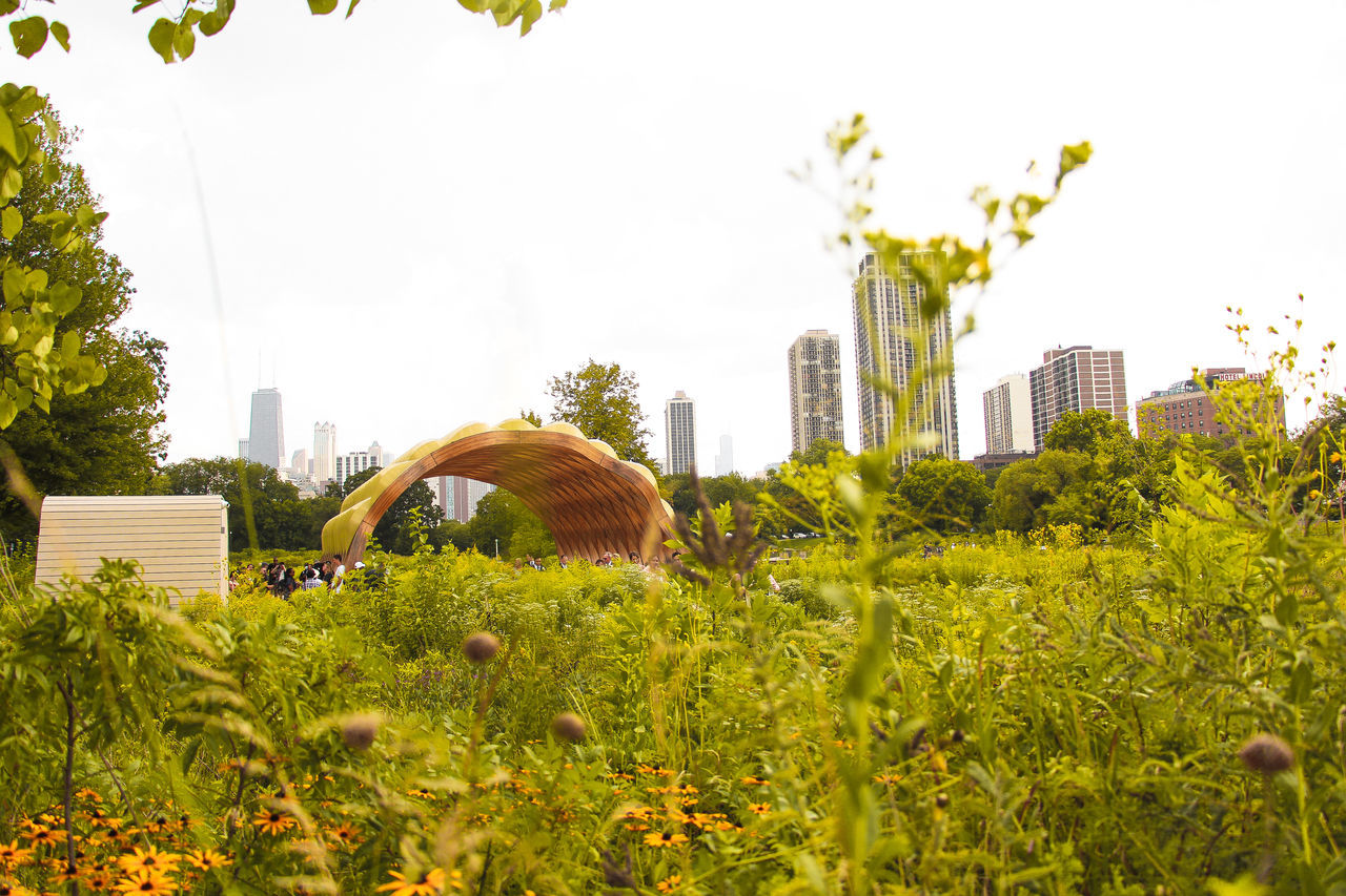 PLANTS GROWING BY BUILDINGS AGAINST SKY