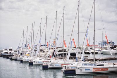 Sailboats moored at harbor