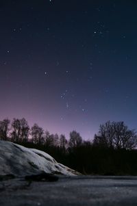 Scenic view of trees against sky at night