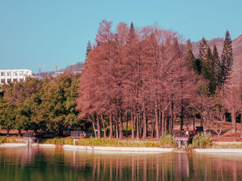 Trees by lake against sky during autumn