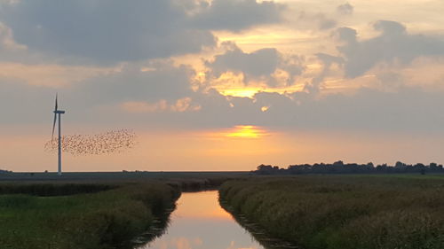 View of stream at sunset