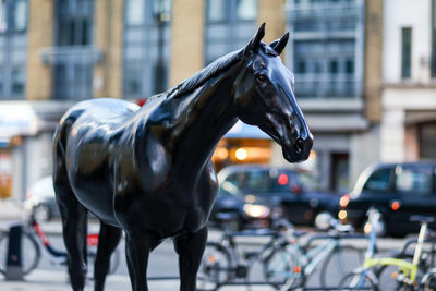 Close-up of horse statue